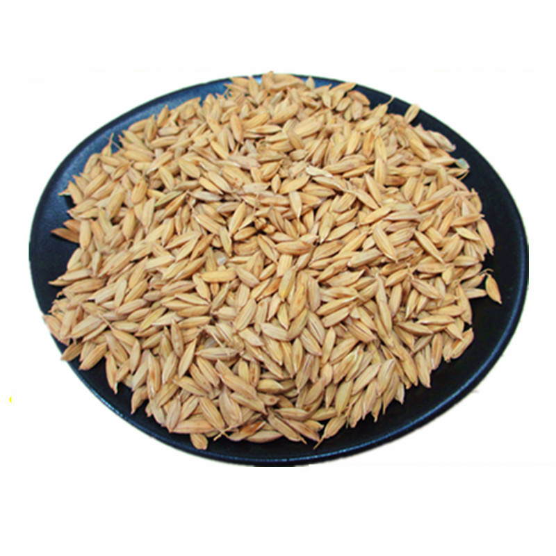 海青 2019年 稻花香2号稻谷