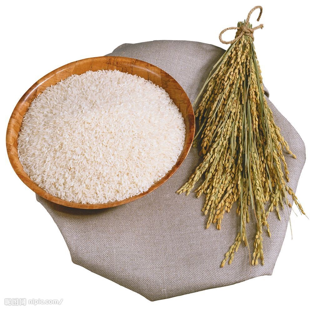 海青 2019年 宏科57稻谷