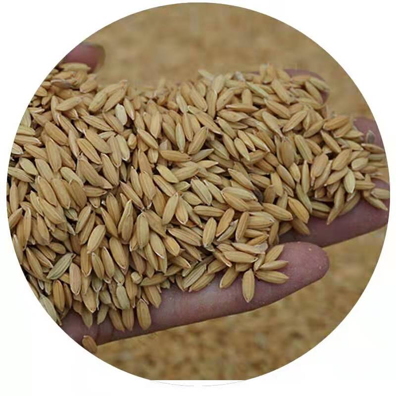 悦丰 2019年 稻花香2号稻谷