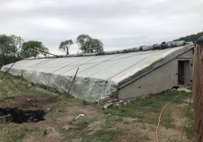 辉南县易生源山野菜家庭农场