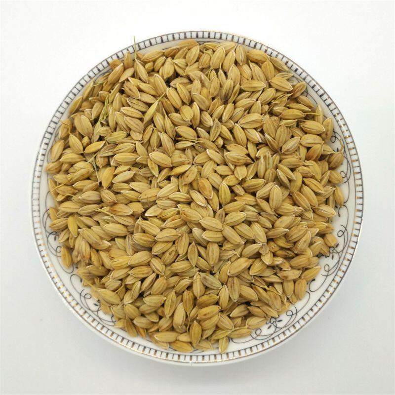 鑫兴粮食 2019年 稻谷 吉宏6