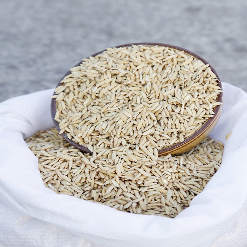 大自然天成农场 吉农大816号稻谷