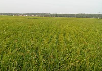 辉南县富辉农机专业合作社