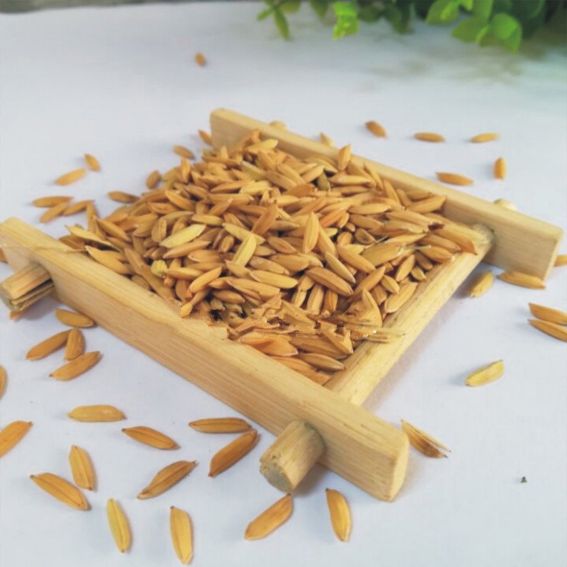 2019年 三通河 新米 宏科181