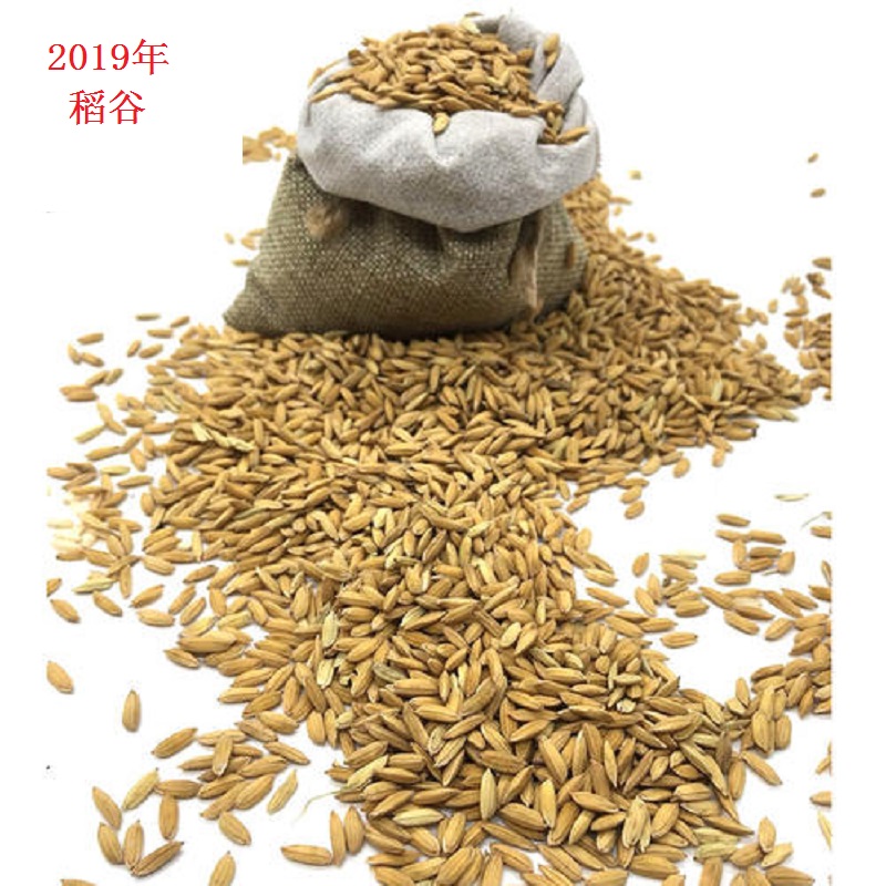 2019年 三通河 新米 农大168