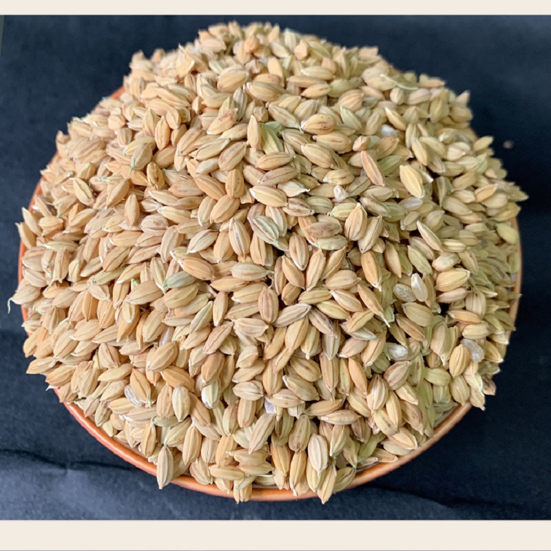 2019年 三通河 新米 通禾885