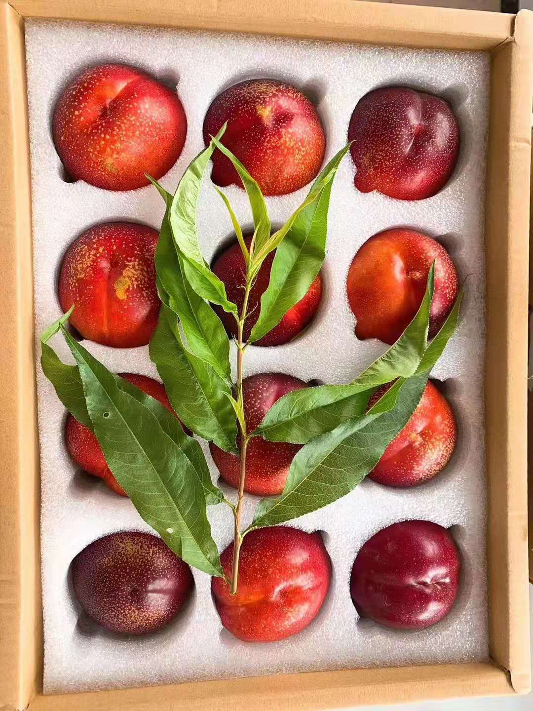 新胜庄园 大油桃 新鲜水果