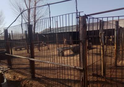 辉南县左广军养鹿场