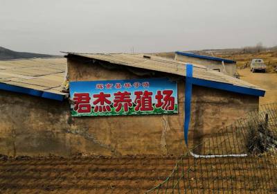 辉南县君杰养殖场