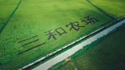 吉林省三和农场有限公司