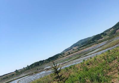 吉林省鸿丰实业集团有限公司