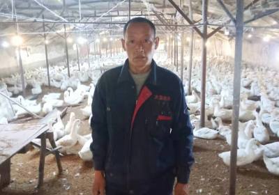 吉林正方农牧股份有限公司