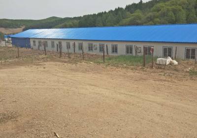 辉南县都振国养殖场