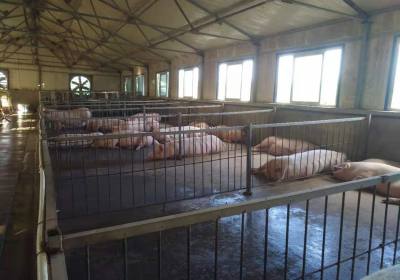 辉南县绿翔养殖场