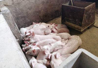 辉南县光州养殖场