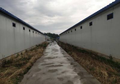 吉林卓越实业股份有限公司（辉发城）