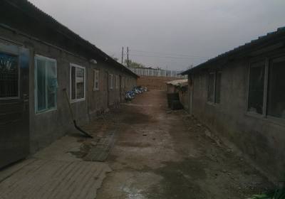 辉南县贺裕绿源牧业