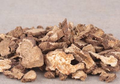 杨国辉苍术种植基地01