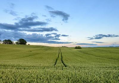 辉南县农丰中药材种植合作社