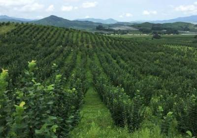 长春市奥林农业有限公司