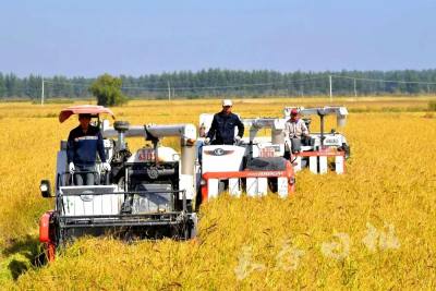 长春市双阳区晟华农民专业合作社