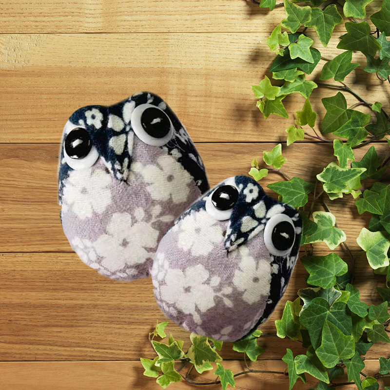 三合乡里猫头鹰宠物