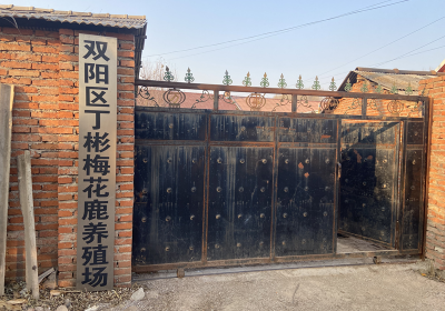 双阳区丁彬梅花鹿养殖场