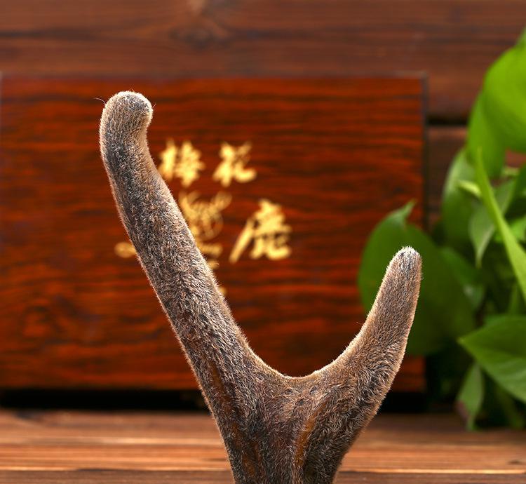 双阳鹿场直供整枝干鹿茸二杠