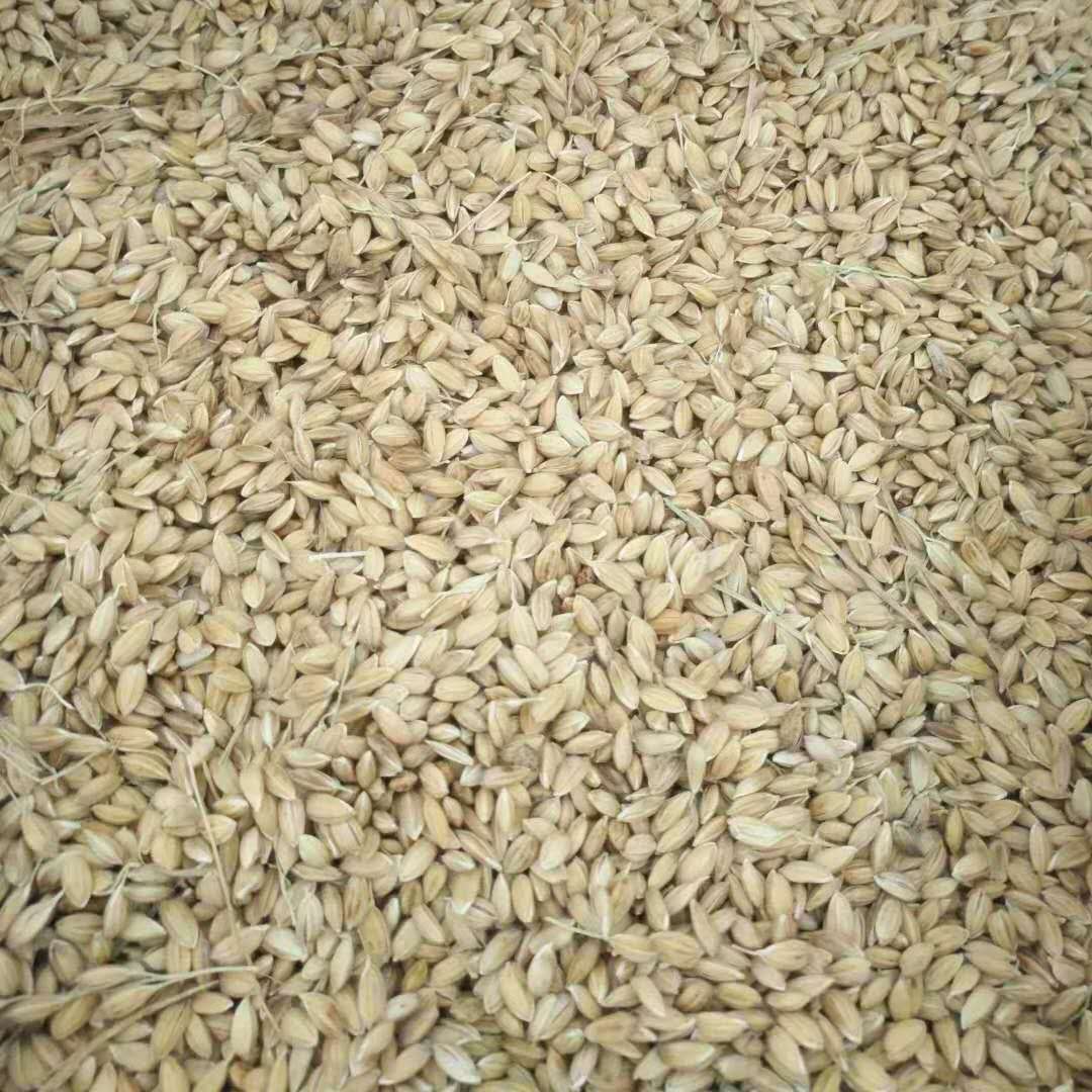 辉南陈庆军水稻原粮预售