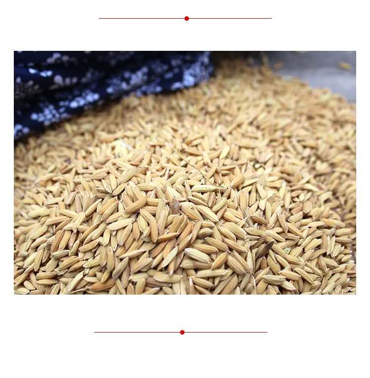 辉南李峰原粮预售