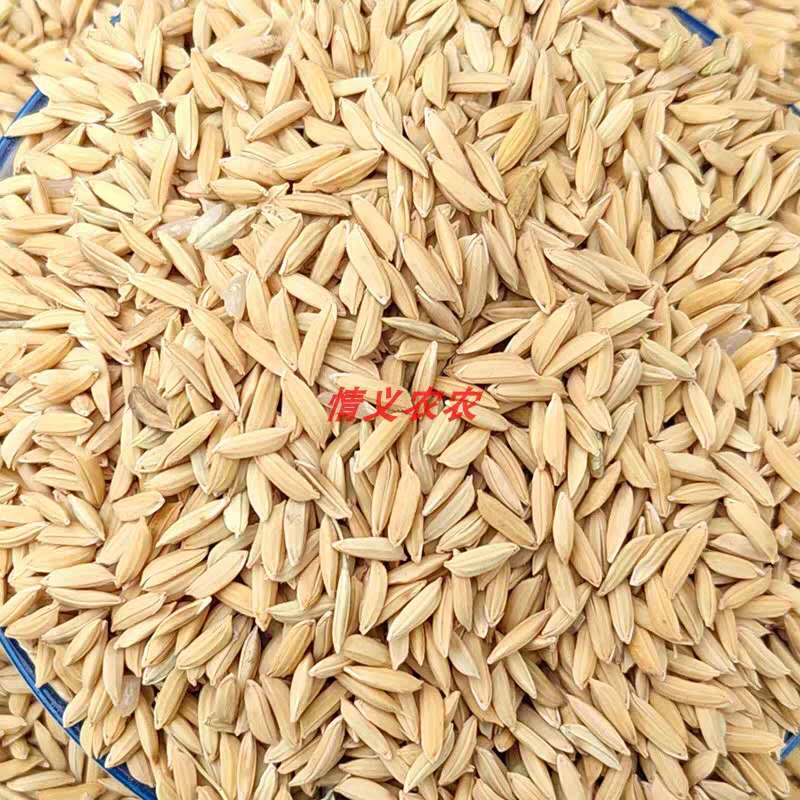 辉南林成德原粮预售