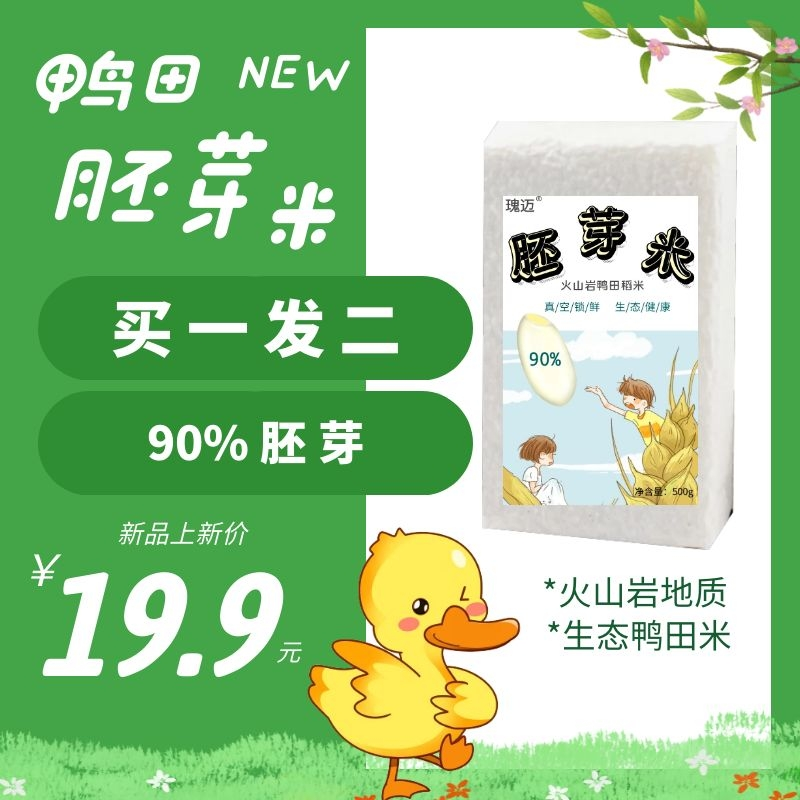 全程追溯瑰迈火山岩鸭田胚芽米谷物营养粥米婴儿幼儿童宝宝辅食
