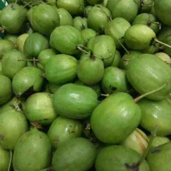 辉南县物联圆枣子预售