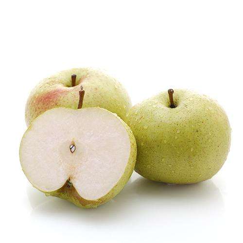 袁兆玉苹果梨预售