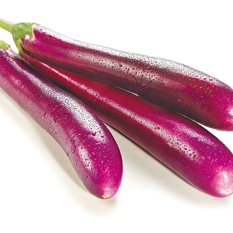 王俊海茄子预售