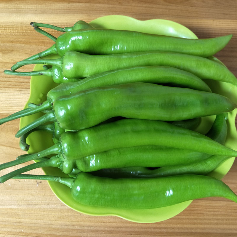 曲永清青椒预售