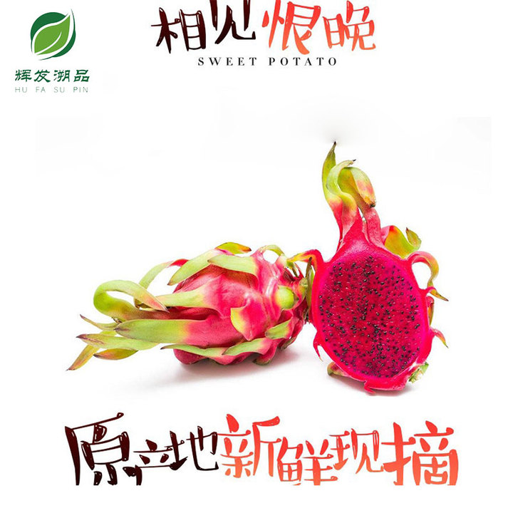 辉发溯品火龙果