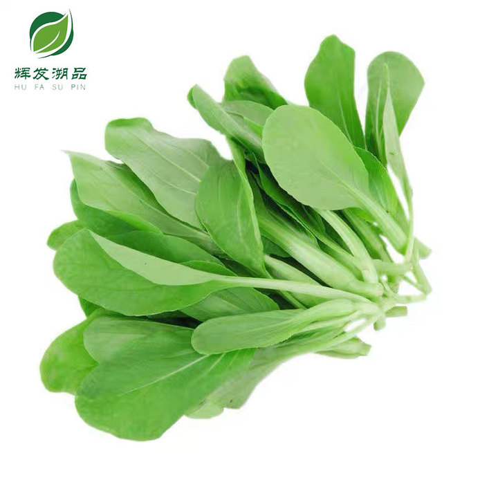 辉发溯品智慧农场小白菜