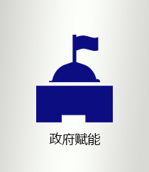 政府赋能
